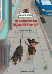 bokomslag Caesar und Cicero