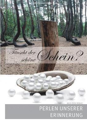 Carmen Sabernak - Täuscht der schöne Schein?, Häftad