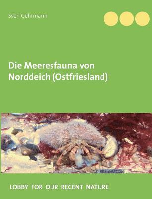 bokomslag Die Meeresfauna von Norddeich (Ostfriesland)