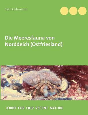 Sven Gehrmann - Meeresfauna von Norddeich (Ostfriesland), Häftad