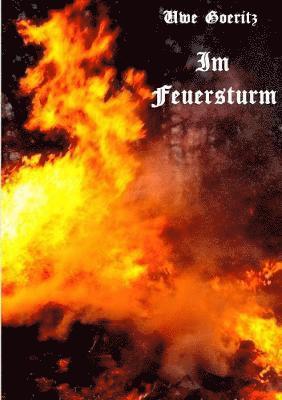 Uwe Goeritz - Im Feuersturm, Häftad