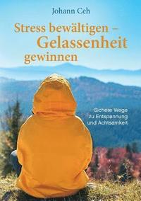 bokomslag Stress bewältigen - Gelassenheit gewinnen