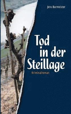Jens Burmeister - Tod in der Steillage, Häftad