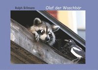bokomslag Olaf der Waschbär