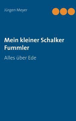 bokomslag Mein kleiner Schalker Fummler