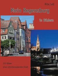bokomslag Mein Regensburg