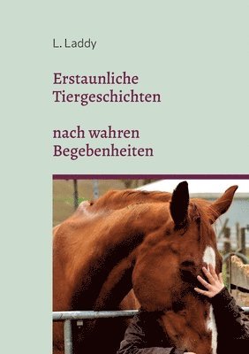 bokomslag Erstaunliche Tiergeschichten nach wahren Begebenheiten