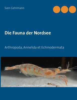 bokomslag Die Fauna der Nordsee