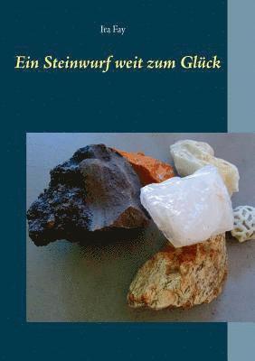 bokomslag Ein Steinwurf weit zum Glck