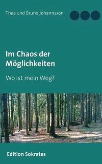 bokomslag Im Chaos der Möglichkeiten