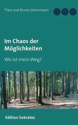 bokomslag Im Chaos der Mglichkeiten