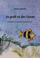 bokomslag So groß ist der Ozean