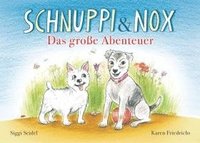 bokomslag Schnuppi & Nox