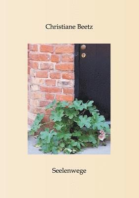 Christiane Beetz - Seelenwege, Häftad