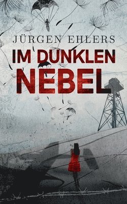 Jürgen Ehlers - Im dunklen Nebel, Häftad