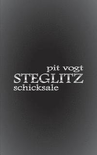 bokomslag Steglitz