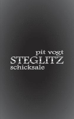 bokomslag Steglitz