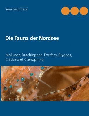 Fauna der Nordsee 1