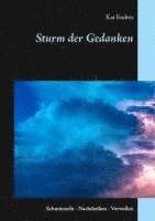 bokomslag Sturm der Gedanken