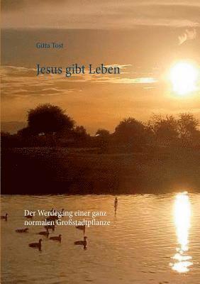 bokomslag Jesus gibt Leben