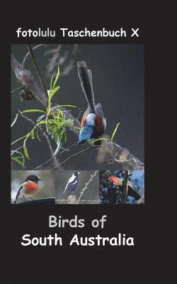 bokomslag Birds of South Australia