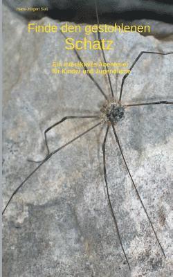 Finde den gestohlenen Schatz