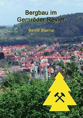 bokomslag Bergbau im Gernröder Revier