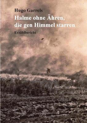 bokomslag Halme ohne hren, die gen Himmel starren