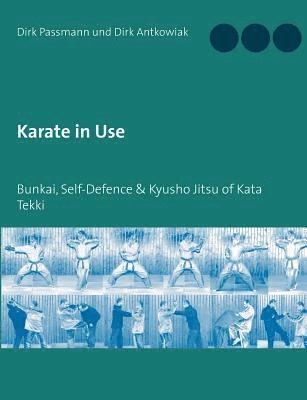 Dirk Passmann, Dirk Antkowiak - Karate in Use, Häftad