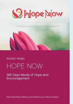 Hope Now 365 Days Devotional 1