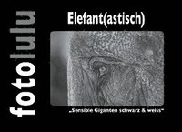 bokomslag Elefant(astisch)