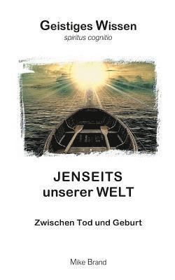 bokomslag Jenseits unserer Welt