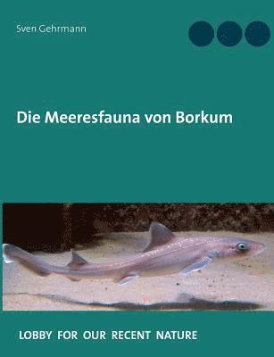 bokomslag Die Meeresfauna von Borkum