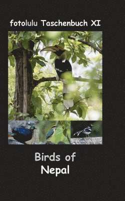 bokomslag Birds of Nepal