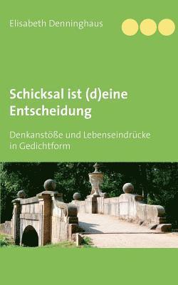 bokomslag Schicksal ist (d)eine Entscheidung