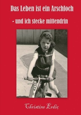 Christine Erdic - Leben ist ein Arschloch - und ich stecke mittendrin, Häftad