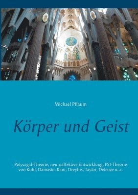 Michael Pflaum - Körper und Geist, Häftad