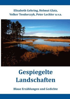 bokomslag Gespiegelte Landschaften