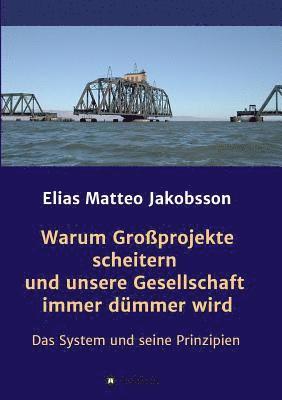 bokomslag Warum Großprojekte scheitern und unsere Gesellschaft immer dümmer wird