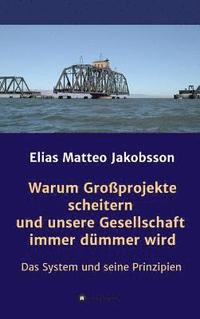bokomslag Warum Großprojekte scheitern und unsere Gesellschaft immer dümmer wird