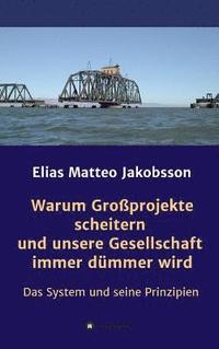 bokomslag Warum Großprojekte scheitern und unsere Gesellschaft immer dümmer wird