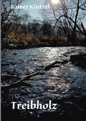 Rainer Kintzel - Angeschwemmt - Treibholz, Häftad