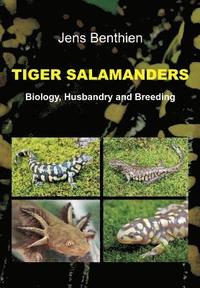 bokomslag Tiger Salamanders