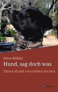 bokomslag Hund, sag doch was