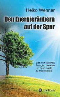 bokomslag Den Energieräubern auf der Spur