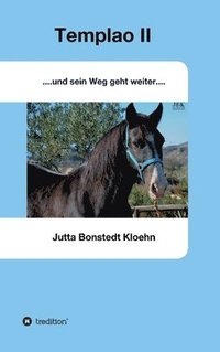 bokomslag Templao II