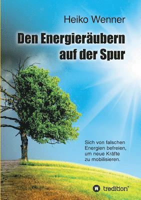 bokomslag Den Energieräubern Auf Der Spur