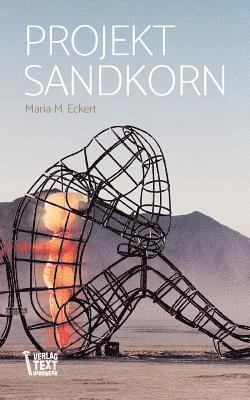 bokomslag Projekt Sandkorn