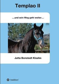 bokomslag Templao II: und sein Weg geht weiter