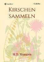 bokomslag Kirschen Sammeln